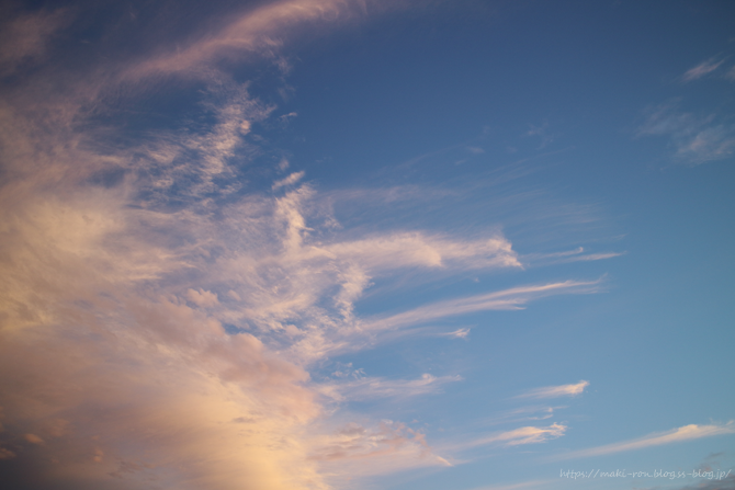 IMG_0223.png