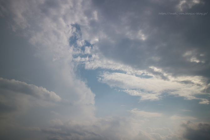 IMG_0268.png