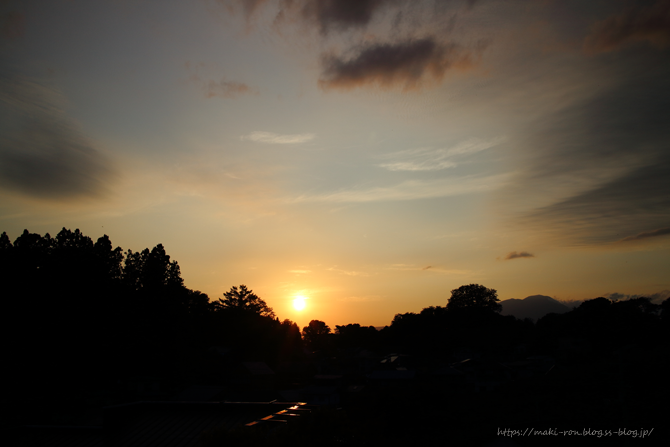IMG_0352.png
