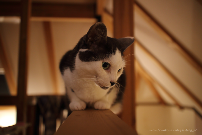 IMG_0544.png