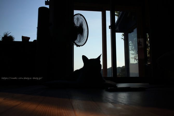 IMG_0571.png