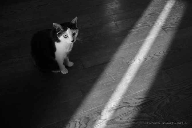 IMG_0638.png