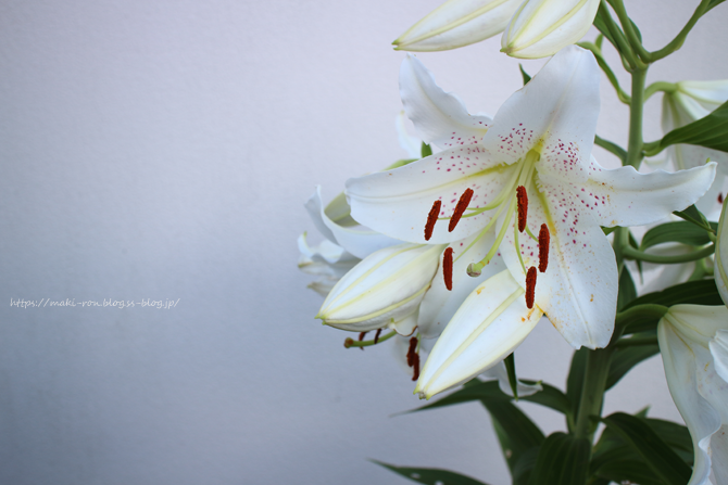 IMG_0674.png