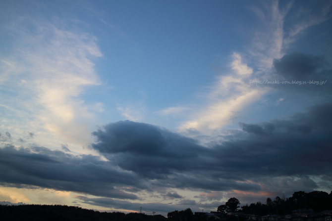 IMG_0681.png