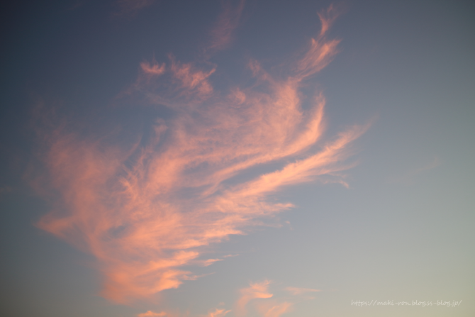 IMG_0709.png