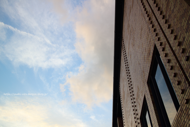 IMG_0782.png