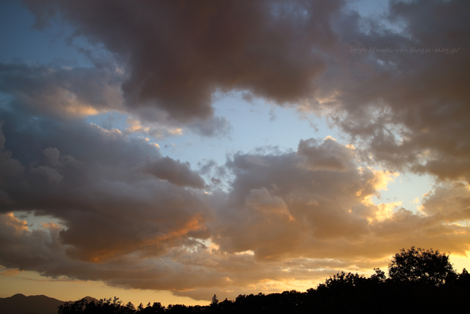 IMG_0849.png