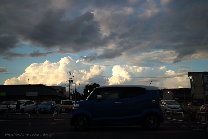 IMG_0880.png