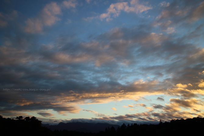 IMG_0927.png