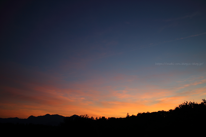 IMG_0944.png