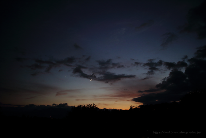 IMG_1028.png