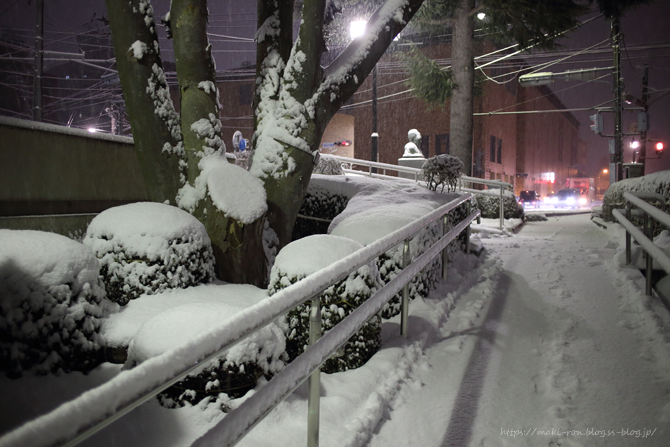 IMG_1463.png