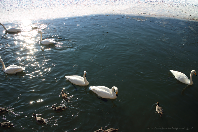 IMG_1568.png