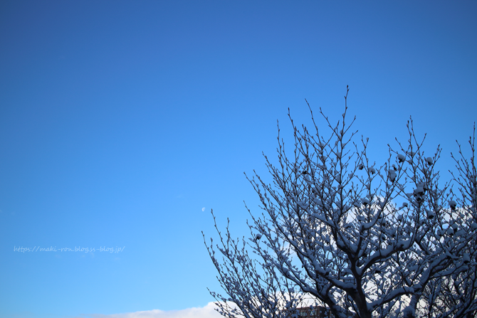 IMG_1772.png