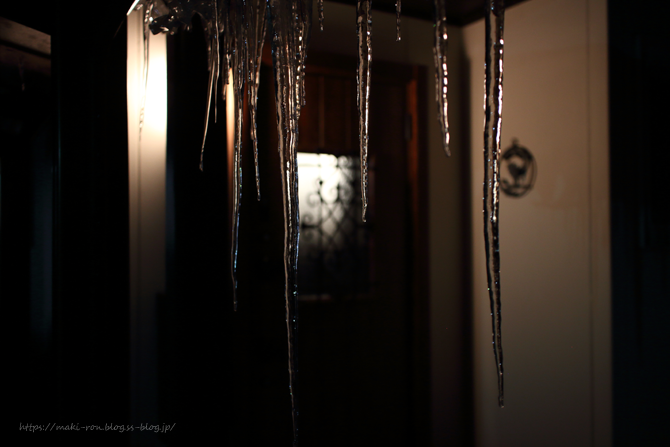 IMG_1779.png