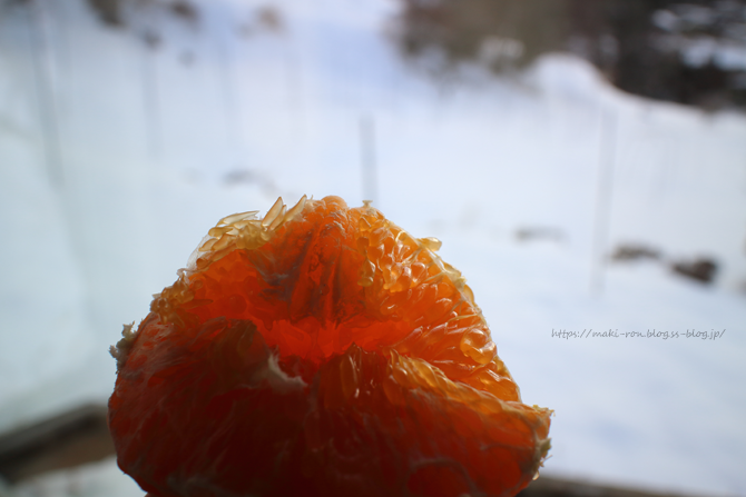 IMG_1811.png