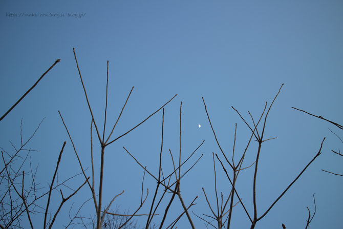 IMG_2132.png