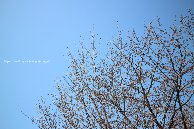 IMG_2283.png