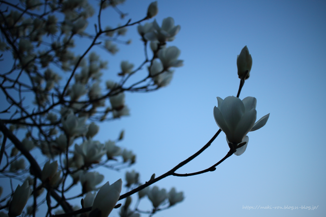 IMG_2334.png
