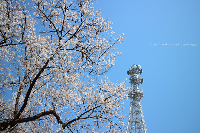 IMG_2345.png