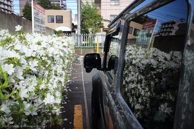 IMG_2468.png