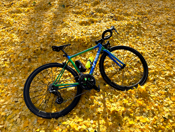 IMG_2501(1).png
