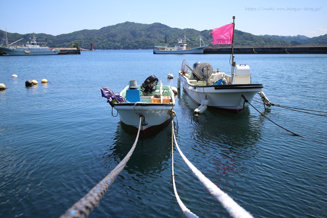 IMG_2552.png