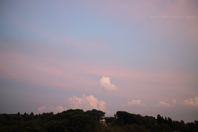 IMG_2642.png