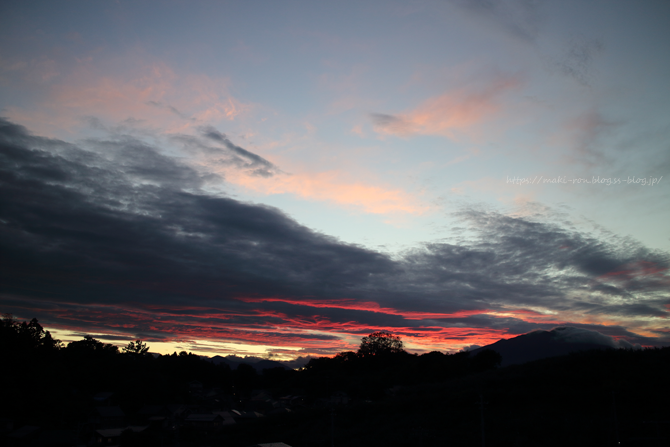 IMG_2745.png
