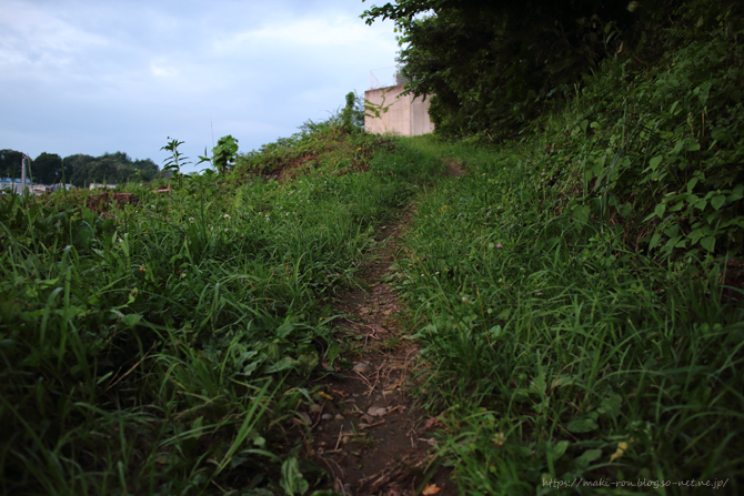 IMG_2813.png