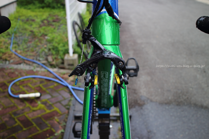 IMG_2933.png