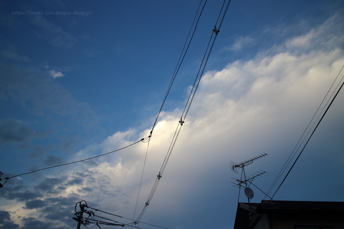 IMG_2988.png