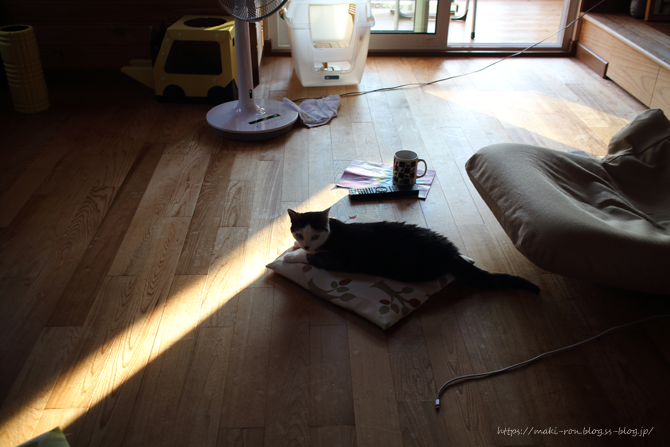 IMG_3015.png