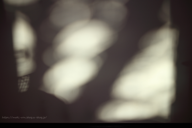 IMG_3022.png