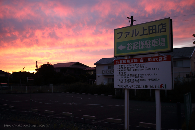 IMG_3041.png