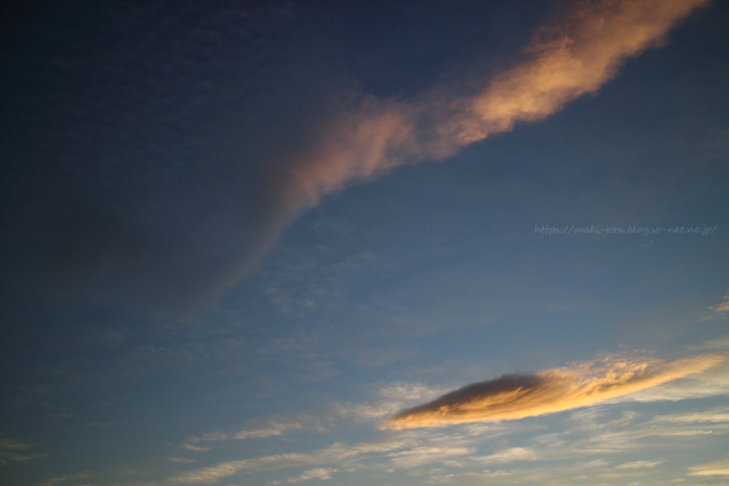 IMG_3109.png