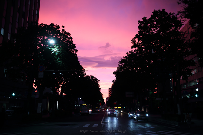 IMG_3114.png