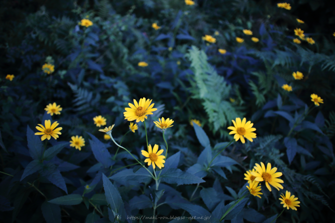 IMG_3192.png