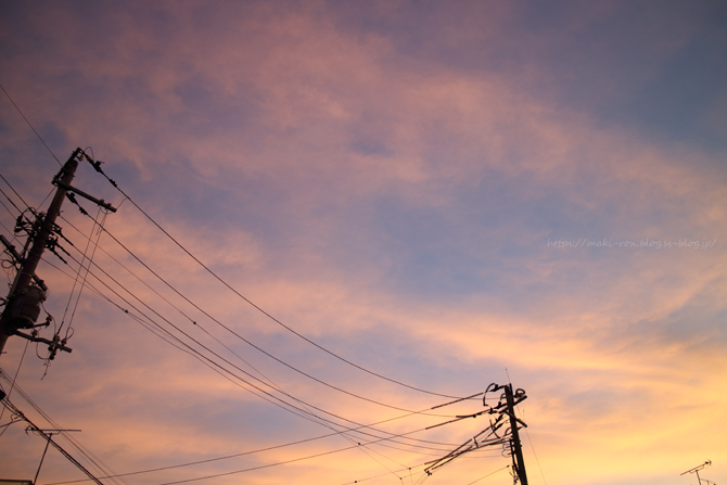 IMG_3251.png