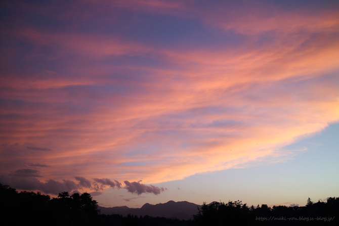 IMG_3258.png