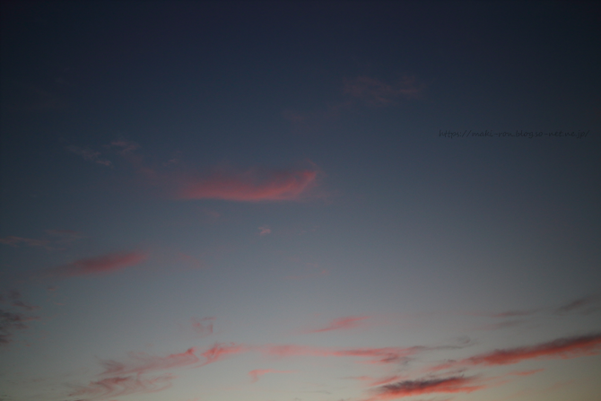 IMG_3296.png