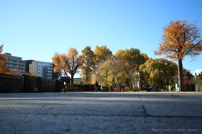 IMG_3428.png