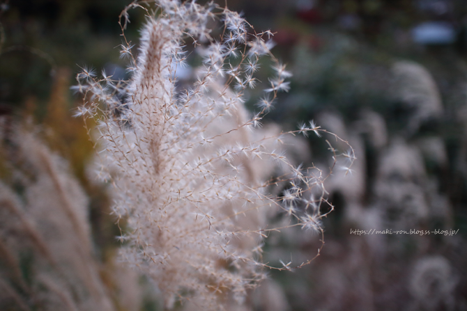 IMG_3465.png