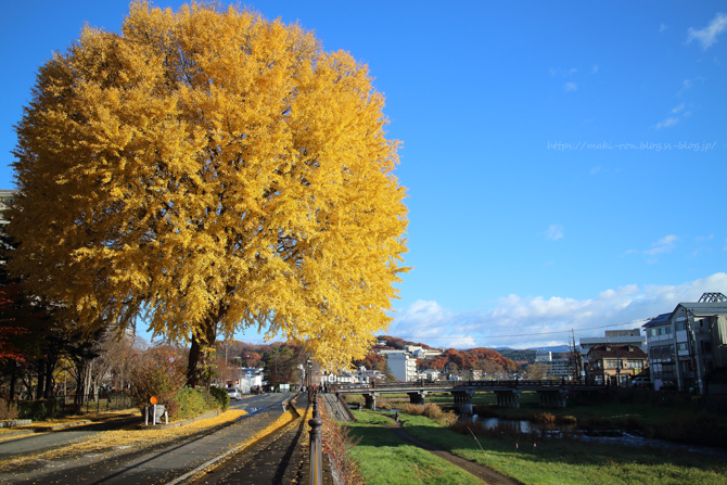 IMG_3555.png