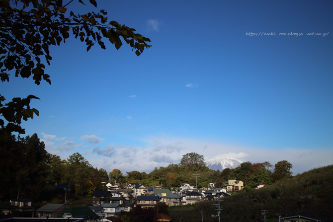 IMG_3593.png