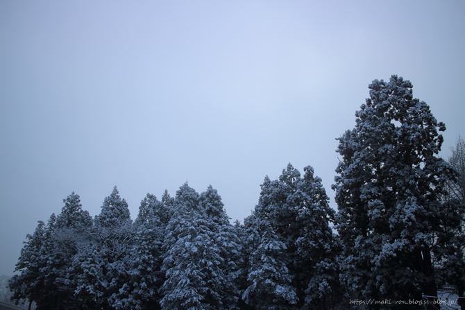 IMG_3696.png