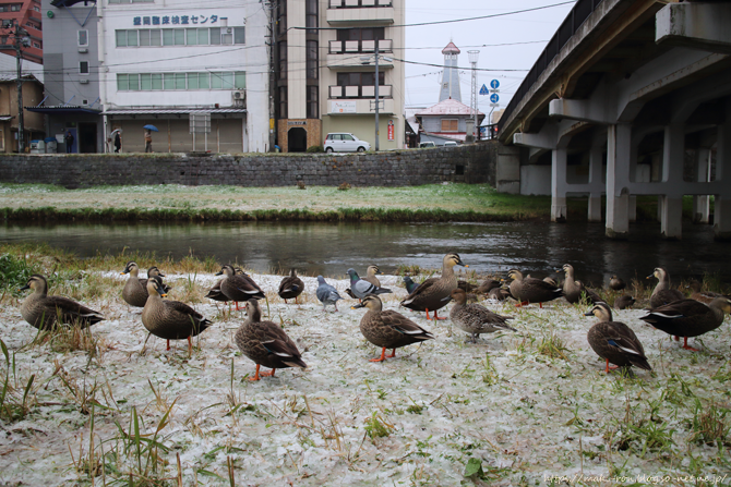 IMG_3718.png