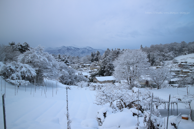 IMG_3740.png
