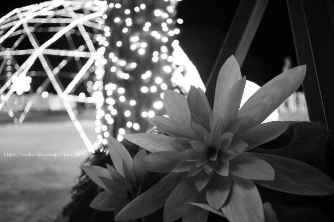IMG_3872.png