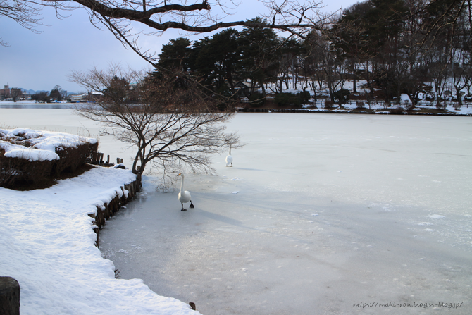 IMG_3902.png